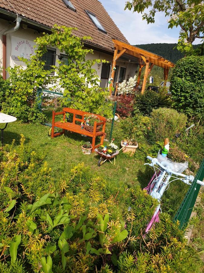 Apartment Da Elisa Rietheim-Weilheim Esterno foto